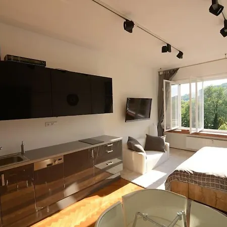 Fabulous River View Studio In The Heart Of Apartment Prague