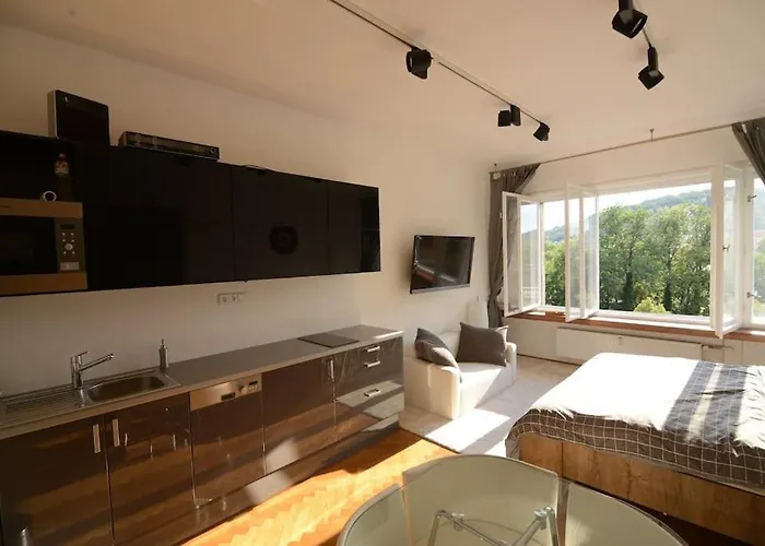 Fabulous River View Studio In The Heart Of Apartment Prague